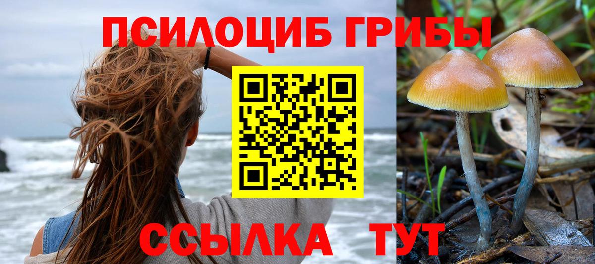 Галлюциногенные грибы мухоморы  Вход с VPN  Ивантеевка  наркошоп  Псилоцибиновые грибы Psilocybine cubensis 
